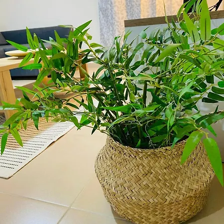 Tersefanou Traditional Village 아파트