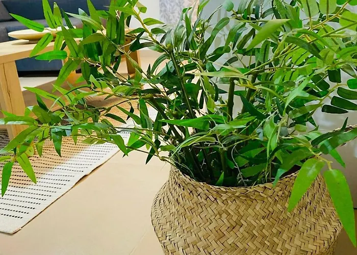 Tersefanou Traditional Village Lägenhet